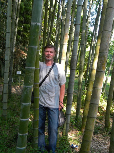 Николай Михалёв