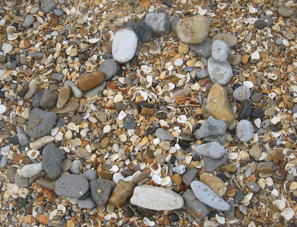 Есмер __________