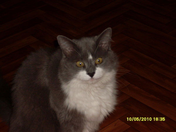 Татьяна Петрова