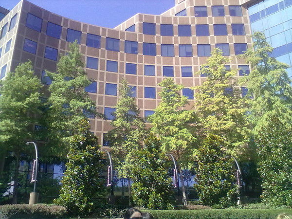 Рабига Кадырбаева