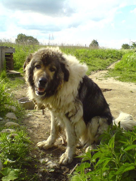 Артём Лёвин