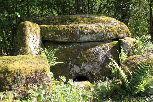 Сергей Павлов