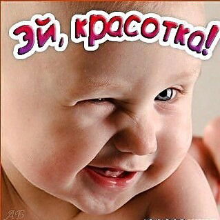 Никита Кашкутин