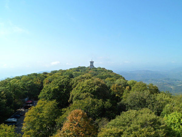 Юлия Прошкина