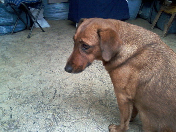 Наталья Соколова