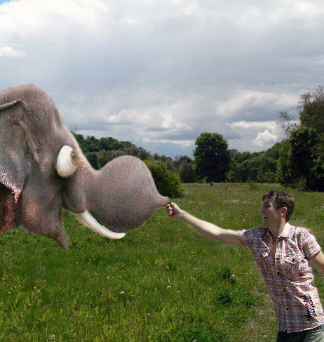 Александр Коваленко