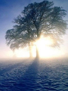 Екатерина Немец