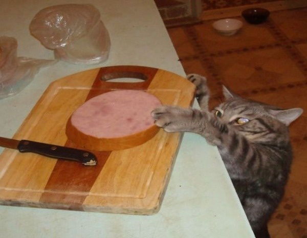 Гость Из Рая