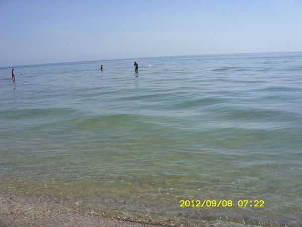 Людмила Воронова