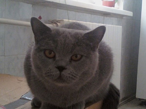 Сергей Бобрев