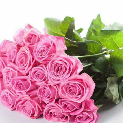 Альбина Мурат