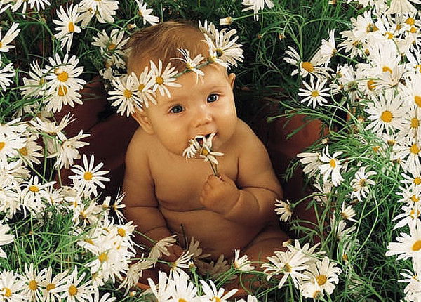 Ирина Кожушко