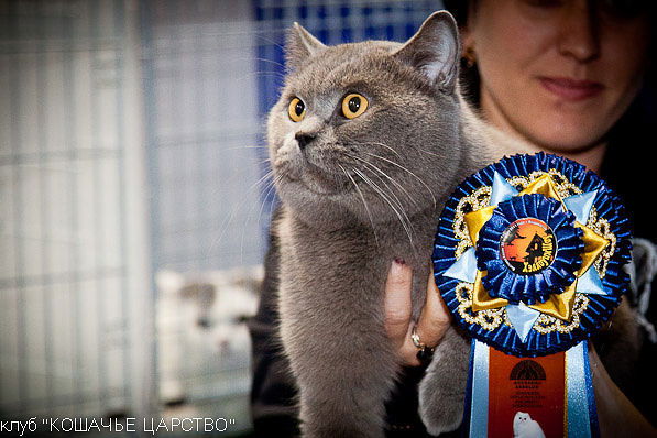 Татьяна Никитенко