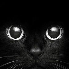 Юлия Бондаренко