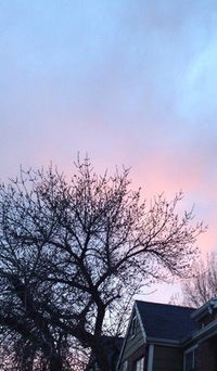 Катя Кузнецова