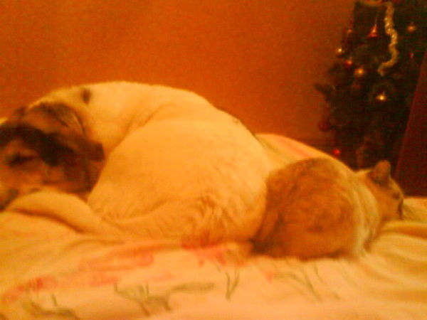 Граудина Наталья