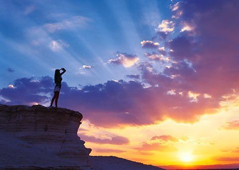 Елена Москвина