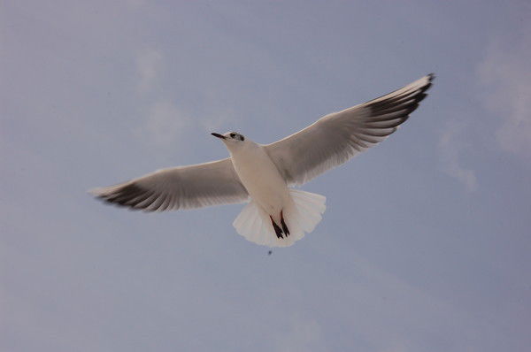 Ардак Ибрагимова