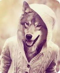 Макс Александрович