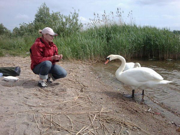 Елена Одинцова