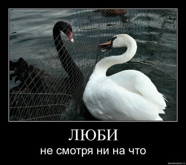 Гульбара Таалайбекова