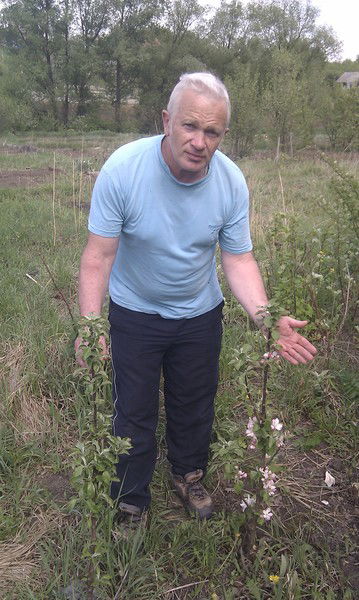 Борис Морозов