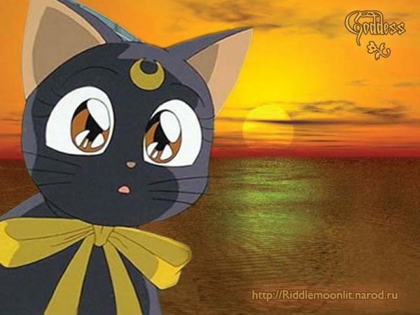 Наталья Петрова