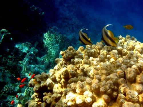 Валентина Пайвина