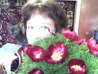 Света Корейко