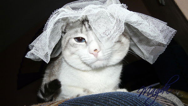 Оксана Магда