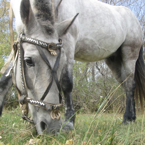 Виктория Гащенко