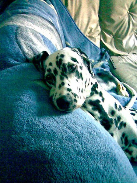 Наталья Емелина