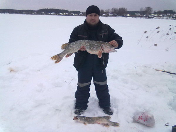 Антон Пичужкин