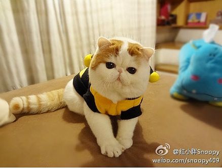 Наталья Воробьёва