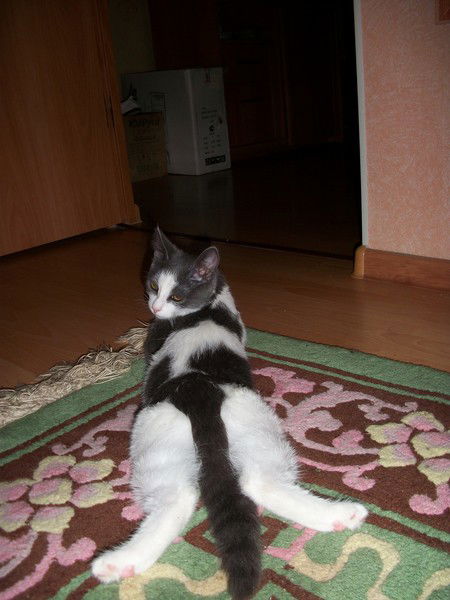 Олег Гарбулинский