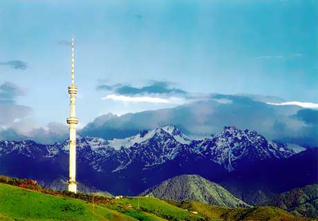 Жанибек Паржанов