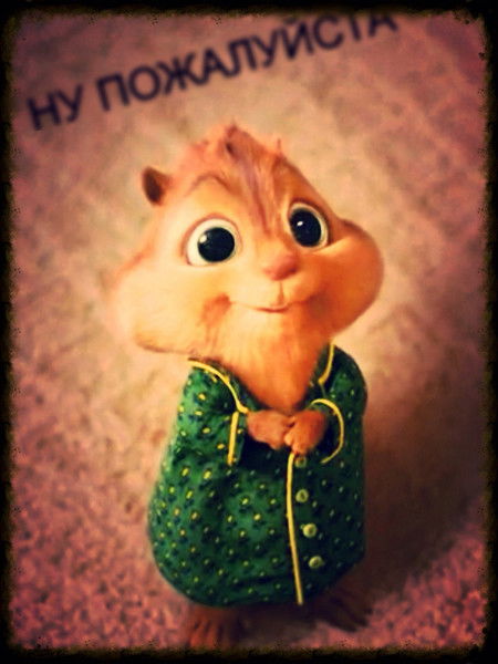 Илья Козлов