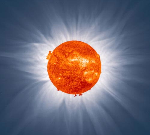 Дима Кравченко