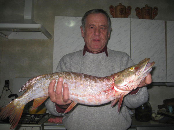 Виктор Балан