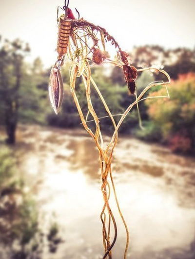 Басира Хоссейн