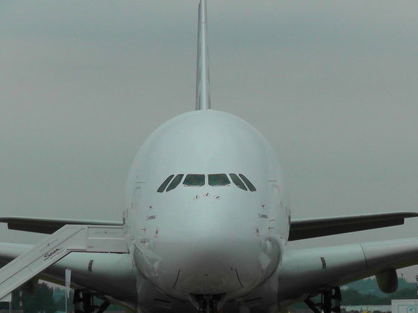 Денис Шибанов