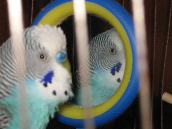 Павел Осадчий