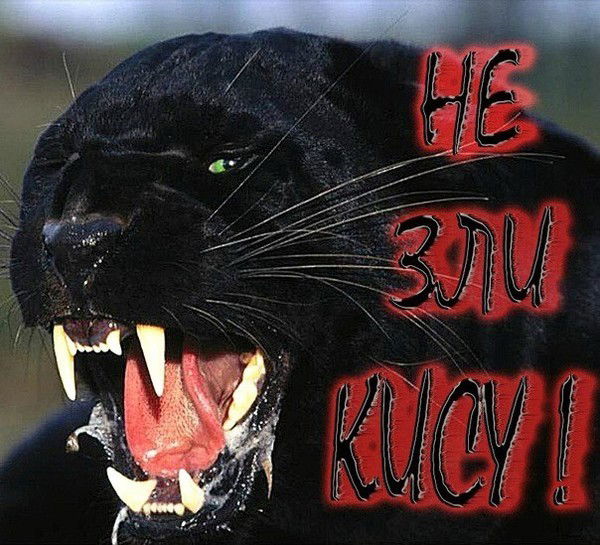 Людмила Козловськa