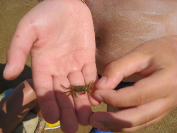 Денис Орлов