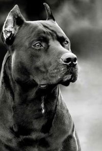 Кирилл Чернов