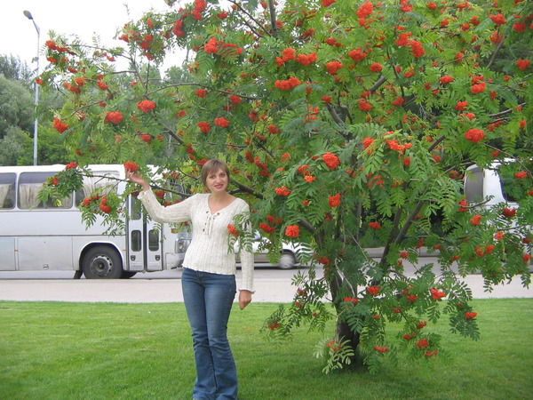 Анна Куликова