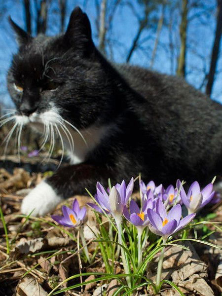 Ольга Калиновская