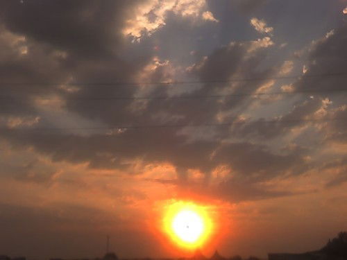 Елена Паниченко