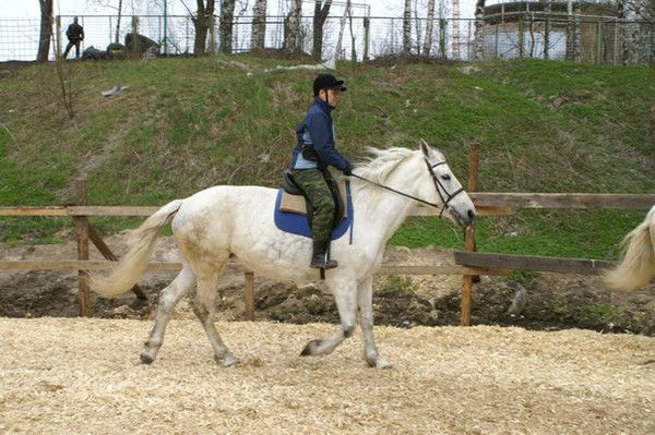 Ольга Богомолова