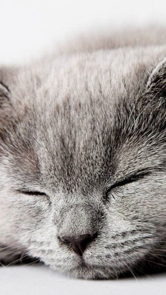 Оля Прусакова